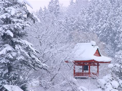 Jepang Musim Dingin