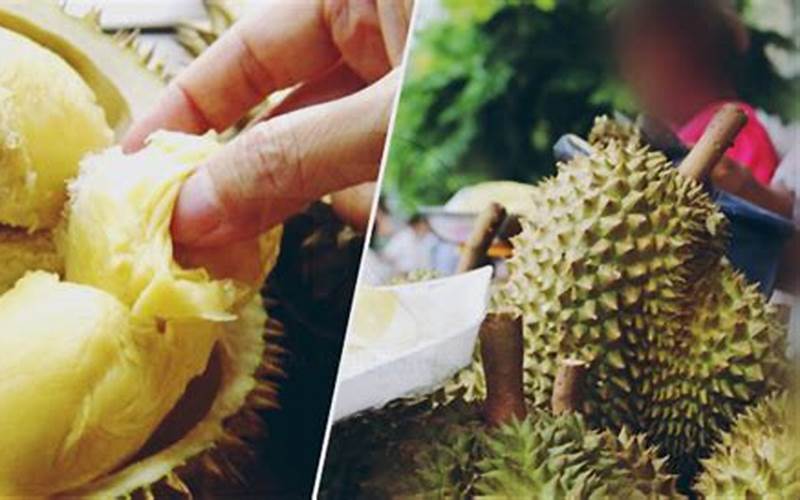 Jerawat Akibat Makan Durian?