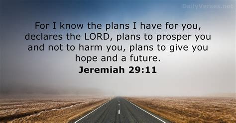 Jeremiah 29 11 Image