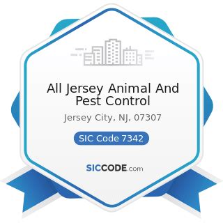 Effective and Reliable Pest and Animal Control Services in Jersey