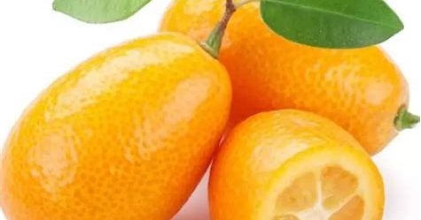 jeruk nagami untuk kesehatan