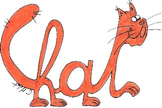 Jeux De Mots Avec Chat