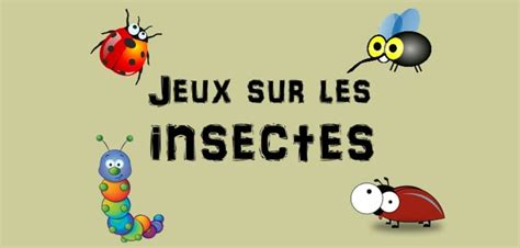 Jeux Insectes