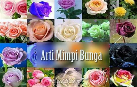 Makna dan Tafsiran Jika Mimpi Bunga - Kenali Bagaimana Mimpi Anda Mempunyai Makna yang Mendalam