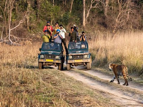 2-Day Jim Corbett Safari from Kolkata: Review by Air