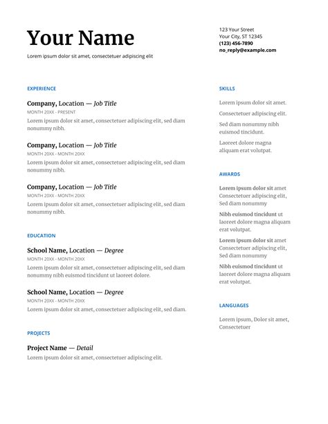 Job Application Google Docs Resume Template