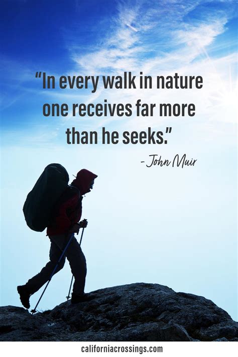 John Muir Quotes Trees