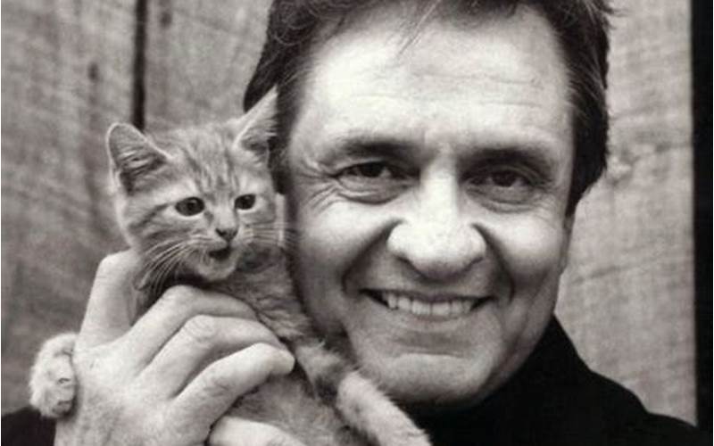 Johnny Cash Rockabilly Cat