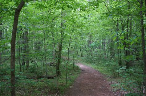 Johnston Mill Nature Preserve