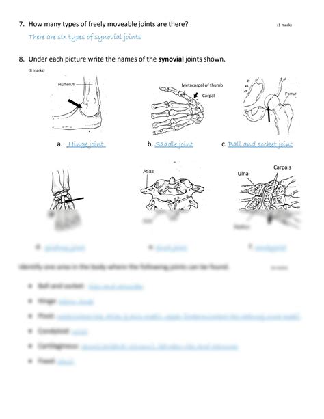 Joints And Movement Worksheet - worksheet