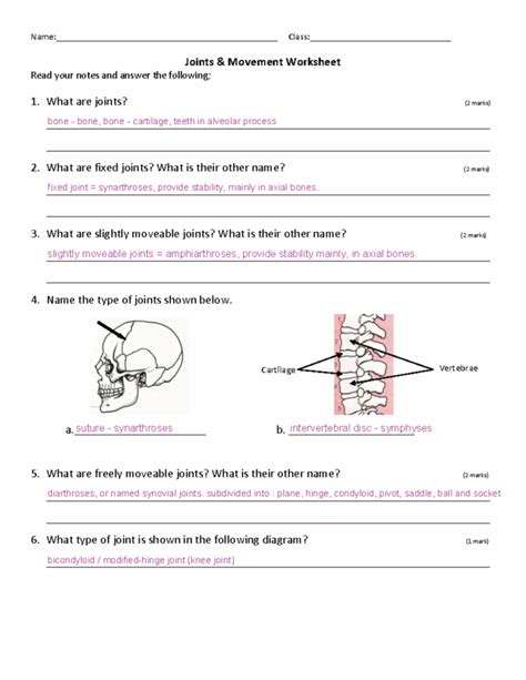 Joints And Movement Worksheet Answers - worksheet