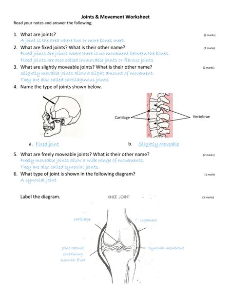 Joints Worksheet Answers — db-excel.com