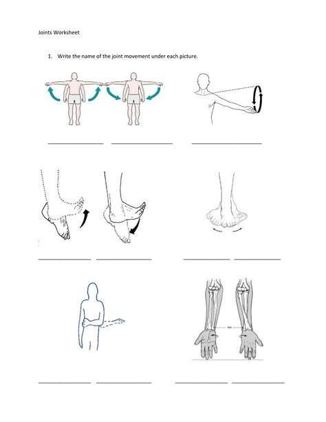 Joints and Movement Worksheet | Movement, Educational worksheets