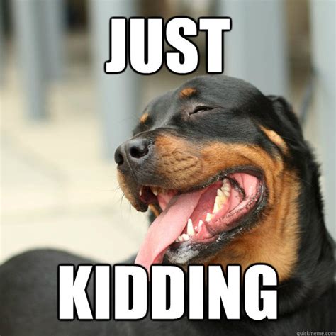 Joking Dog Meme