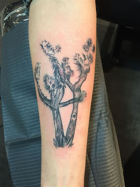 Yucca brevifolia (Joshua tree) done by Victoria Baker