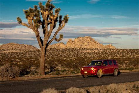 Joshua Tree driving tour
