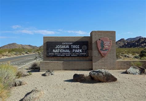 Joshua Tree Audio Tour Review: Free Local’s Guide