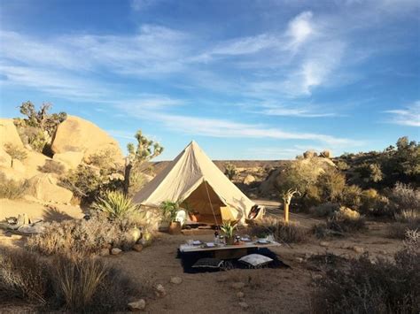 Joshua Tree experience