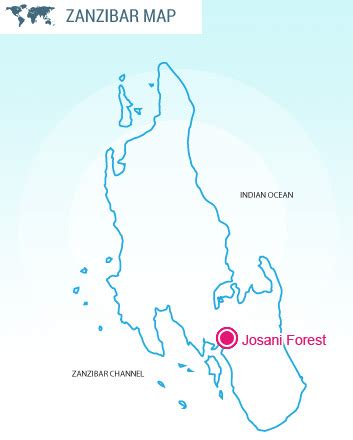 Jozani Forest Location