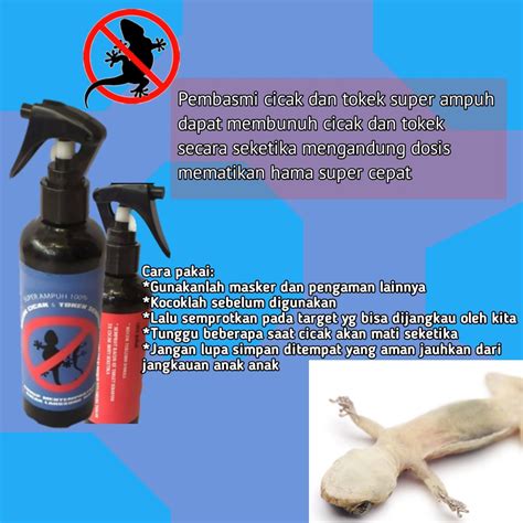 Jual Obat Pembasmi Cicak Di Aceh Utara