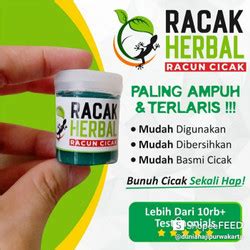 Jual Obat Pembasmi Cicak Di Kota Surabaya