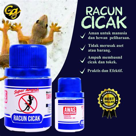 Jual Obat Pembasmi Cicak Di Lombok Barat