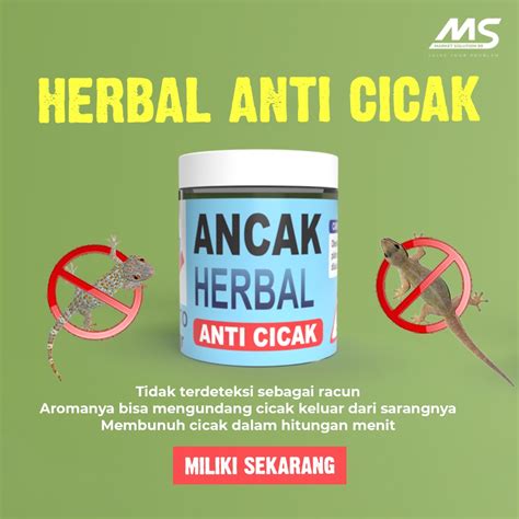 Jual Obat Pembasmi Cicak Di Puncak Jaya