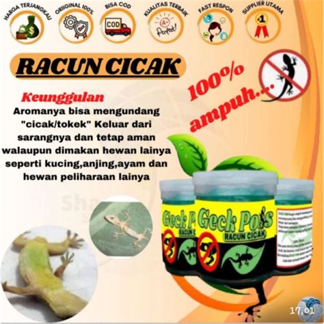 Jual Obat Pembasmi Cicak Di Teluk Wondama