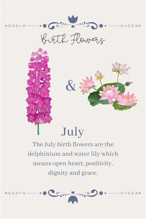 July Birth Flower Delphinium  FAQ