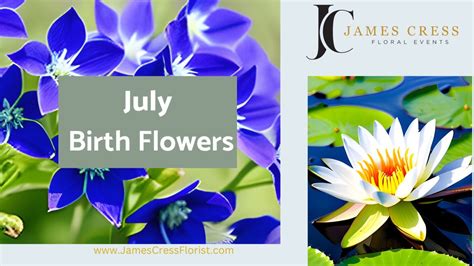 July Birth Flower Ring Care Tips