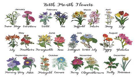 July Birth Flower Symbolism Table
