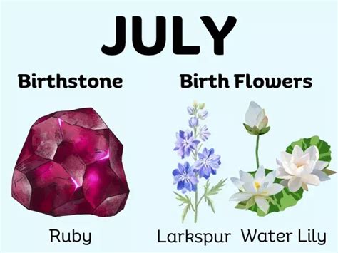 July Birthstone Flower & More