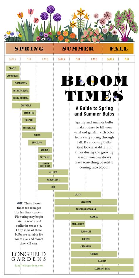 July Flower Bloom Times