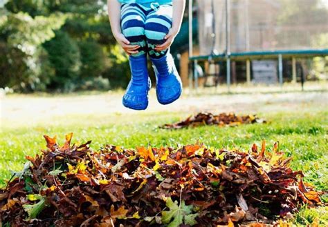 Jump In The Leaves