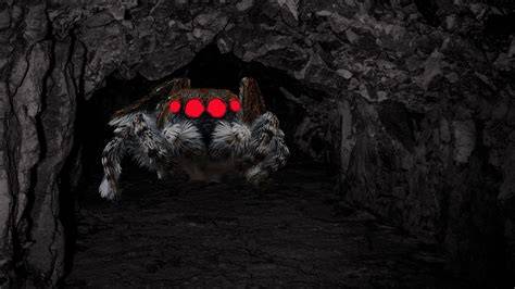 Jump Scare Spider