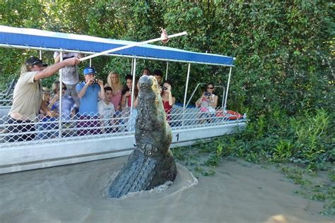 Jumping Crocodile Cruise Experience