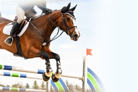 Jumping High