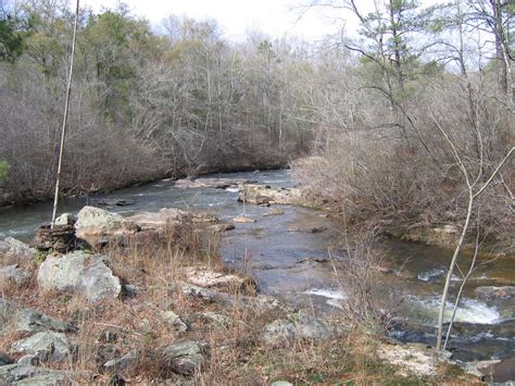 Discover the Natural Splendor of Junction Park Verbena Al: Your Ultimate Guide to Embrace the Serenity of Alabama's Untouched Landscapes
