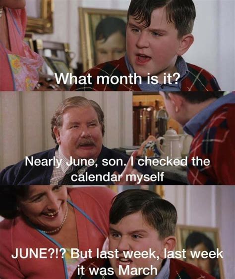 June 2020 Memes Funny