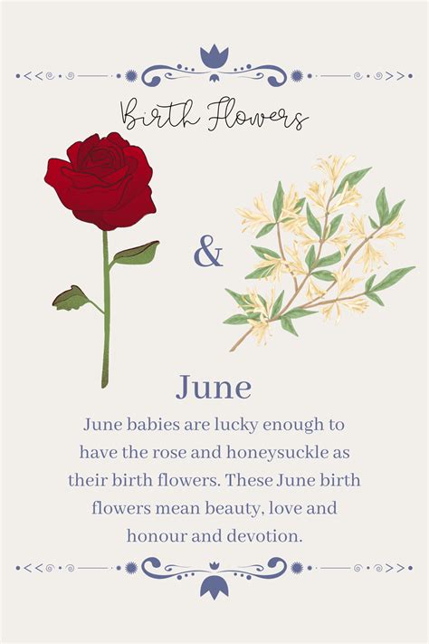 June's Gorgeous Blooms: Celebrating the Flower of the Month