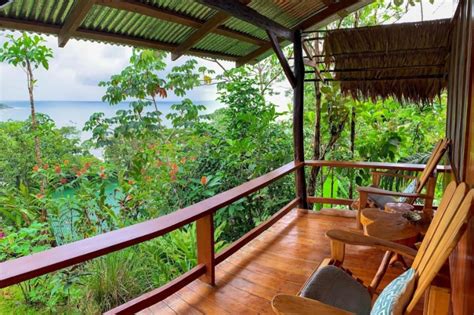 Jungle Accommodations