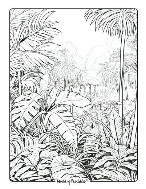 Jungle Coloring Pages For Adults