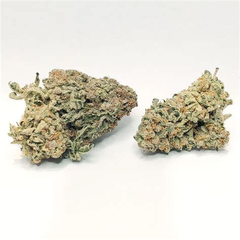 Jungle Diamond | PotHub