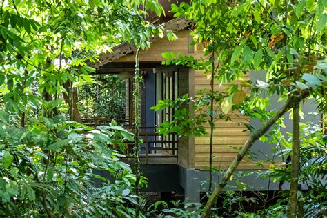 Jungle Immersion