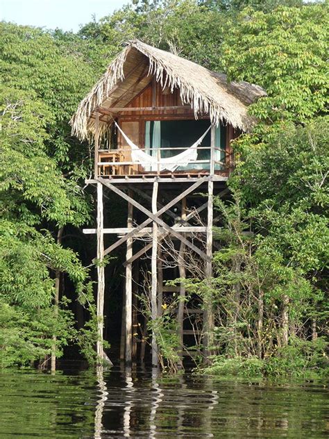 Jungle Lodges