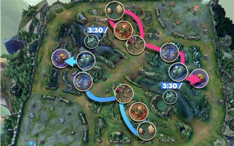 Jungle Paths