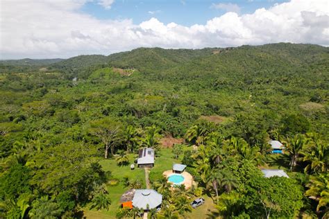 Discover Your Own Piece of Paradise: Jungle Properties for Sale in Enchanting Belize