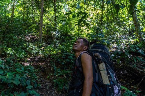 Jungle Travel Essentials