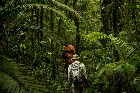 Jungle Trekking Sumatra