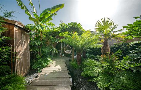 Jungle Tuin